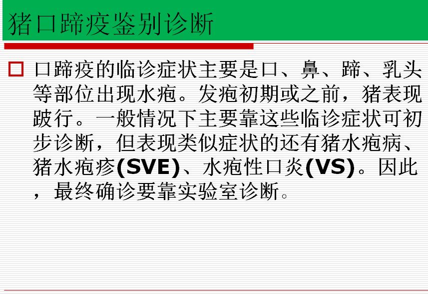 河北省猪病毒最新动态，全面防控与应对策略