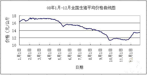 最新猪价行情分析与展望，价格消息及趋势解读