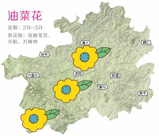 贵州省是哪里,灵活解析方案_模拟版81.46.65，贵州省解析方案及地理位置介绍_模拟版81.46.65