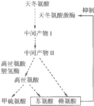 贵州 山洞,国产化作答解释定义_KP27.23.78，贵州山洞中的国产化作答解释定义_KP27.23.78