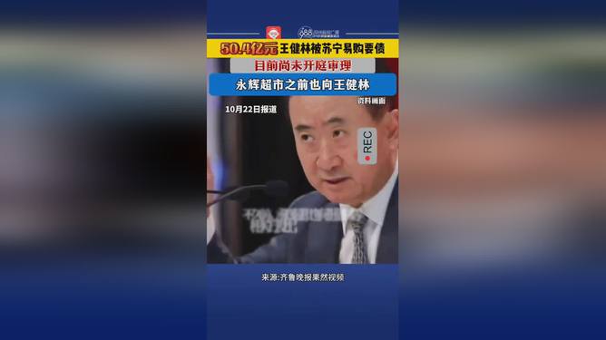 50.4亿元！王健林被苏宁要债,背景概述