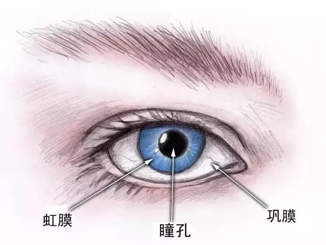 瞳孔mm 2015最新微信,瞳孔微信