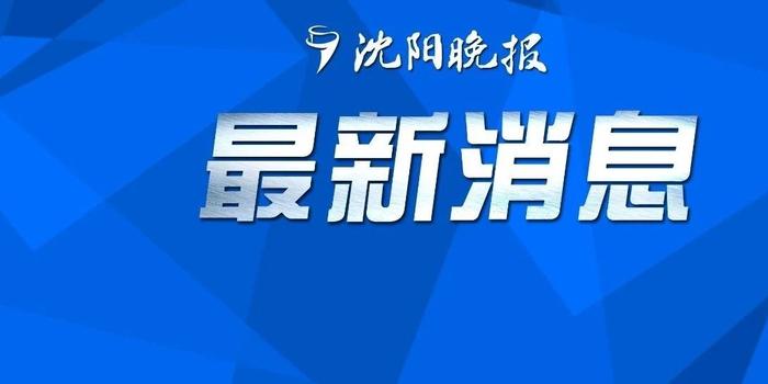 25日沈阳市最新市长分工,一、标题，沈阳市最新市长分工安排通知