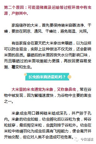 最新毒虫子揭秘与应对策略，全方位解读，小红书版分享