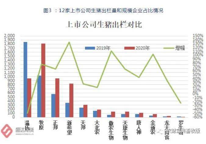 洞悉市场趋势，掌握投资先机，最新唐报价汇总报告