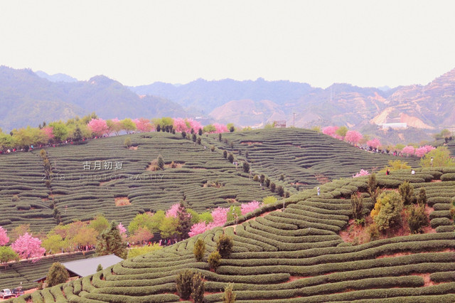 寨中村秘境探秘，自然美景中的浪漫邂逅与内心平静之旅启程在即