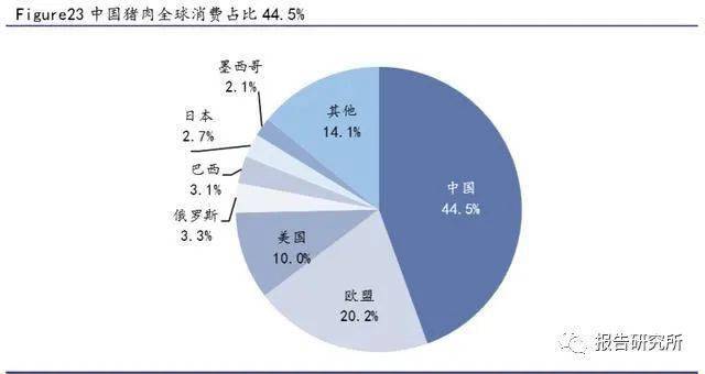 29日肉的历史脉络与重大事件及其时代地位