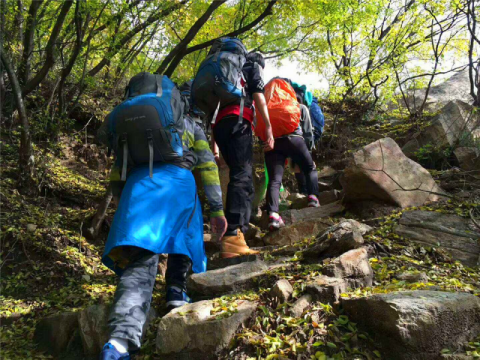 汉最新探险，邂逅自然美景，探寻内心平和之旅