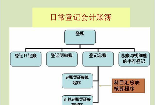 金多子最新动态详解，掌握任务流程与技能学习全攻略