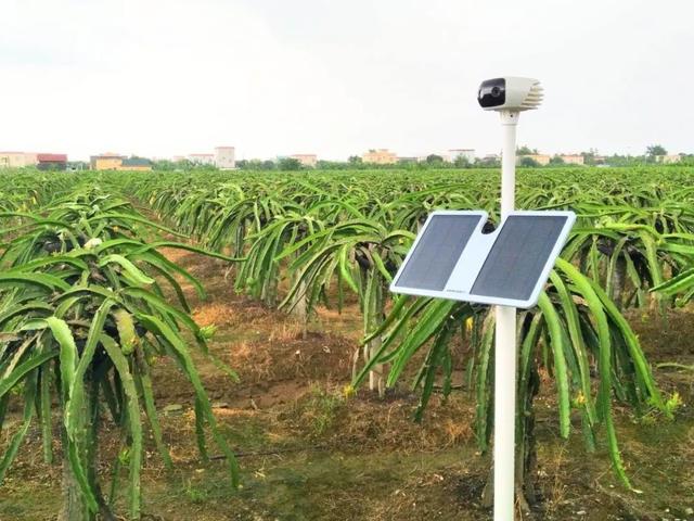 揭秘新时代农业革命，全新智能种植技术重塑绿色生活之路的31日探索之旅