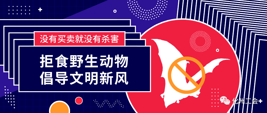 化州市最新招聘信息概览，重点岗位推荐（11月1日）