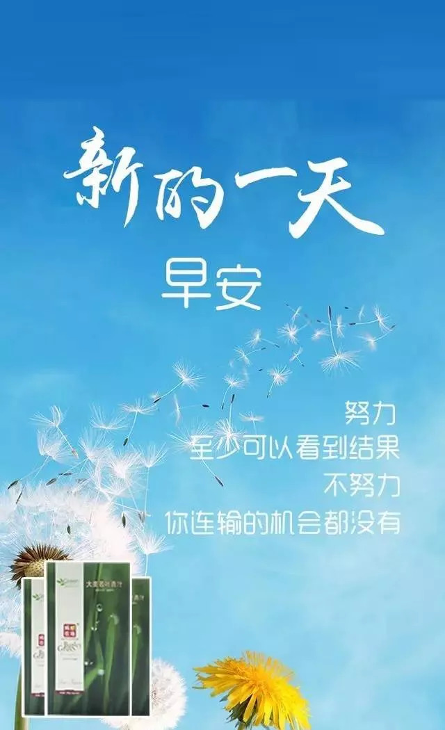 深度评测与介绍