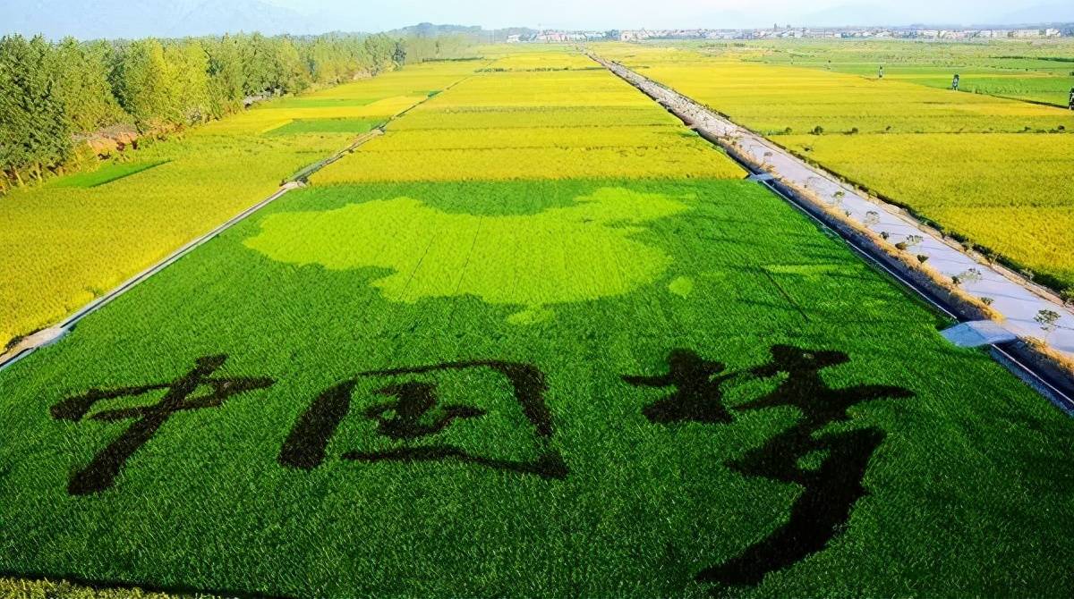 铅精粉最新价格揭秘，自然美景之旅寻求内心宁静与平和