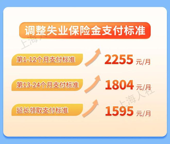 解读最新失业保险金领取条件规定，以11月3日新规视角出发的探讨