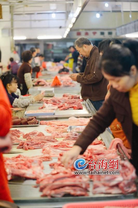 漳州市最新生猪价格报告，智能系统引领科技畜牧新篇章（11月4日）