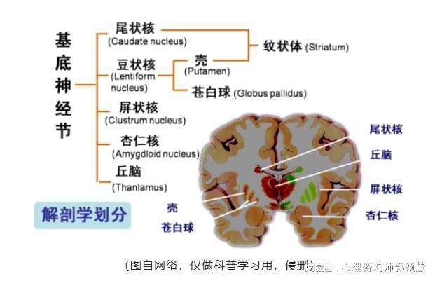 美国耳蜗2016最新款，超越自我，励志学习之旅，自信从耳蜗启航