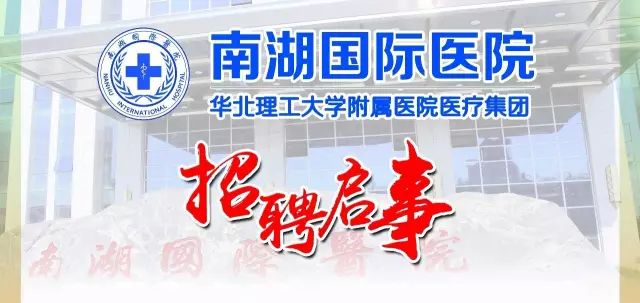 11月5日最新招聘语发布，职业未来启航点