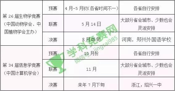 11月5日教资考试时间及备考策略深度解读，时间与备考策略探讨日开启