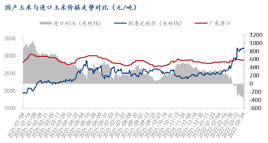 深度解析，11月5日小麦行情与市场脉动