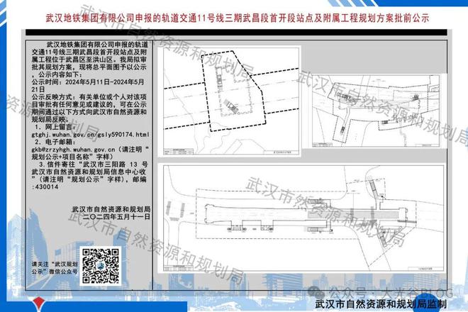 武汉最新动态，城市热点解析与最新消息（11月5日）