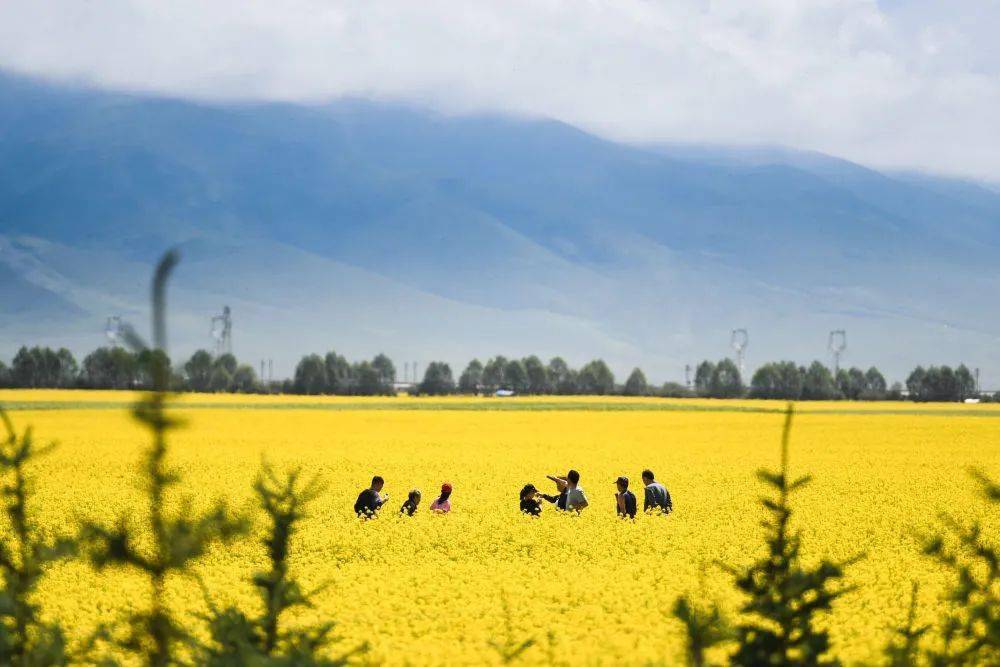 11月6日金花盛开，学习之旅的自信与成就感的绽放时刻