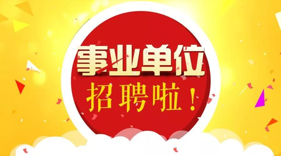 成都最新全职招聘信息详解与体验分享（11月6日）