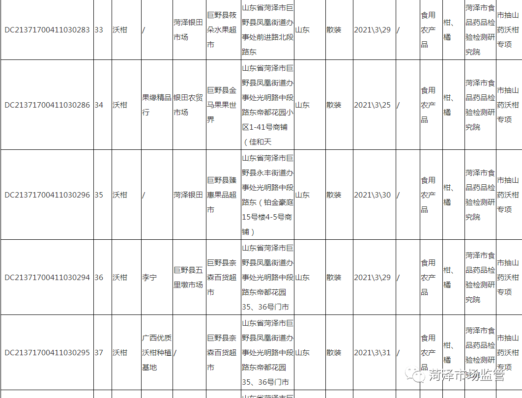 秦方新纪元科技产品重磅发布，智能革新引领未来生活