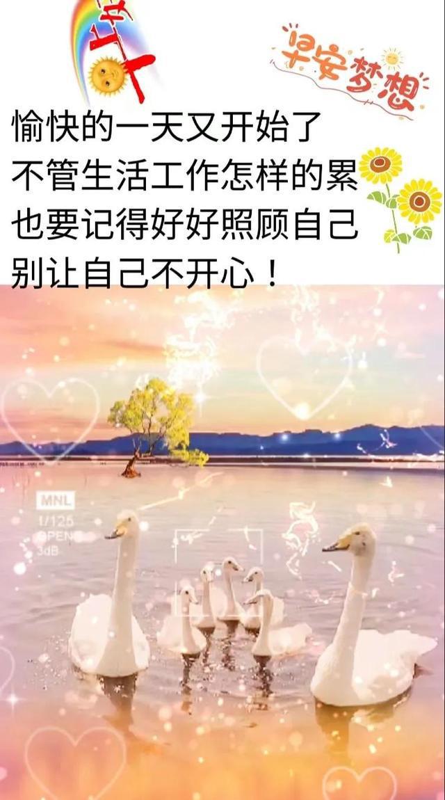 11月6日最新早安图片制作与分享指南，适合初学者与进阶用户的温馨早安问候