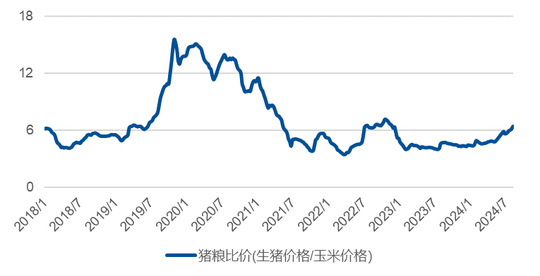 大马疫情最新动态解析，焦点、正反观点与个人立场探讨（11月7日）