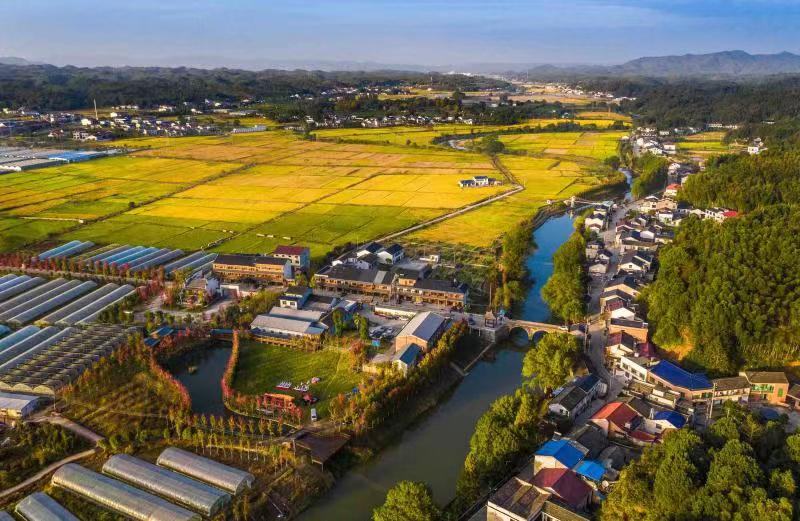 长沙县高桥镇心灵宁静之旅邀请函，自然秘境探索之旅最新消息发布