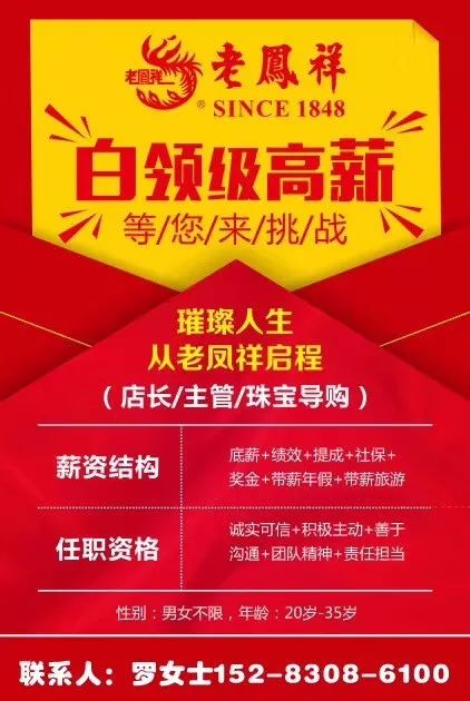 11月8日福清最新招聘信息全解析与介绍