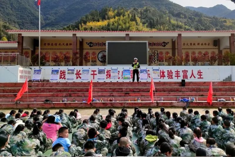 11月8日阵地守卫最新动态，科技、策略与未来展望