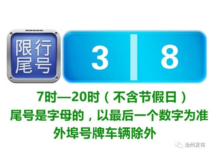 2024年11月8日顺德鹦鹉台风最新预警解读与应对建议