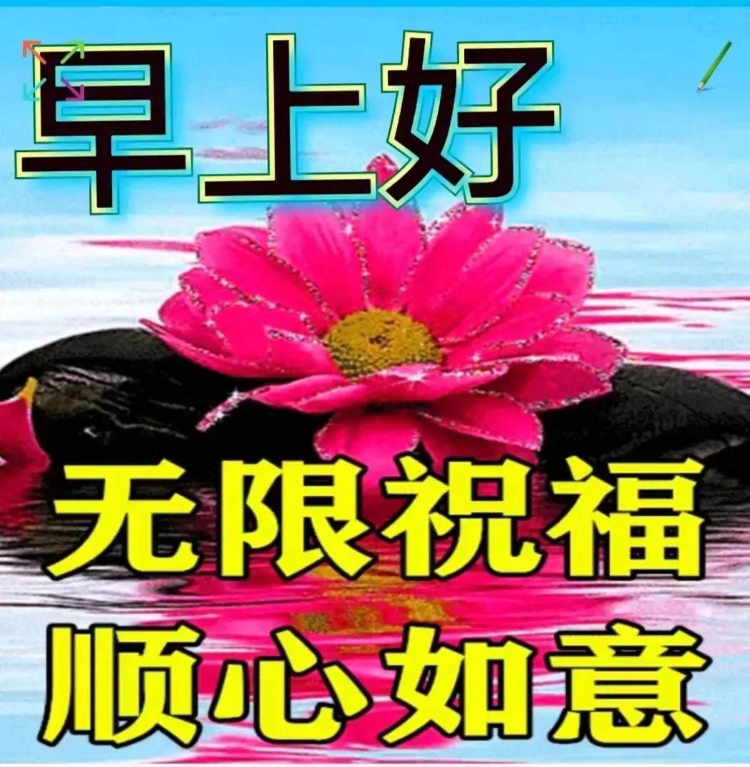 励志启程，开启学习变革之旅的自信与成就感——每日早晨问候语，2024年11月8日