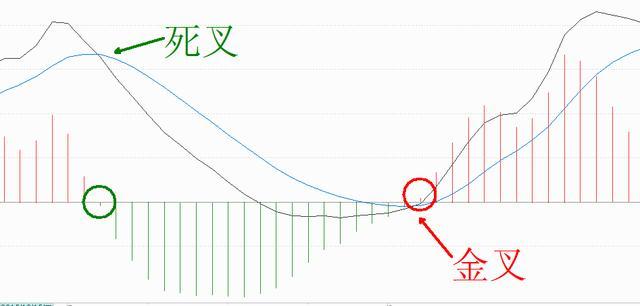 花开无言 第8页