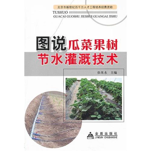 高效节水灌溉系统安装与操作指南，适用于初学者与进阶用户的最新灌溉技术解析