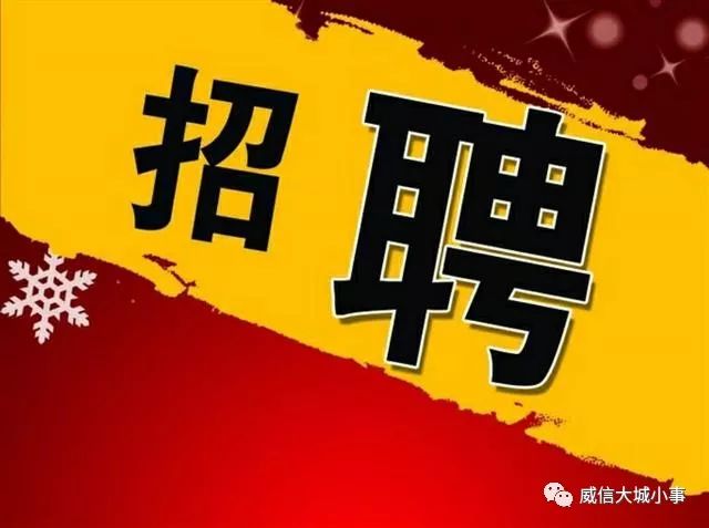 11月13日新都招聘网最新招聘及求职全攻略