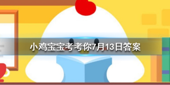 支付宝小鸡问题，数字时代的探索与挑战（最新更新）