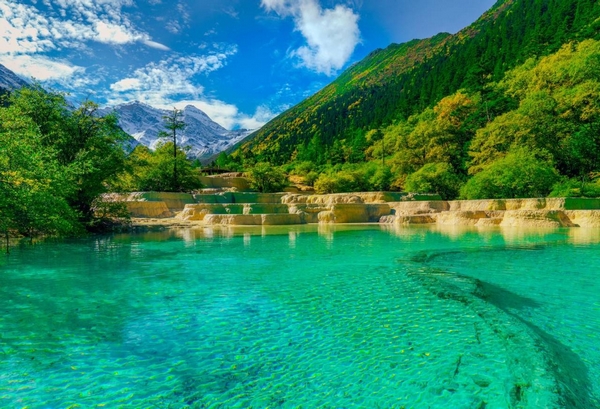 最新奶酪塔之旅，探索自然美景，寻觅心灵净土