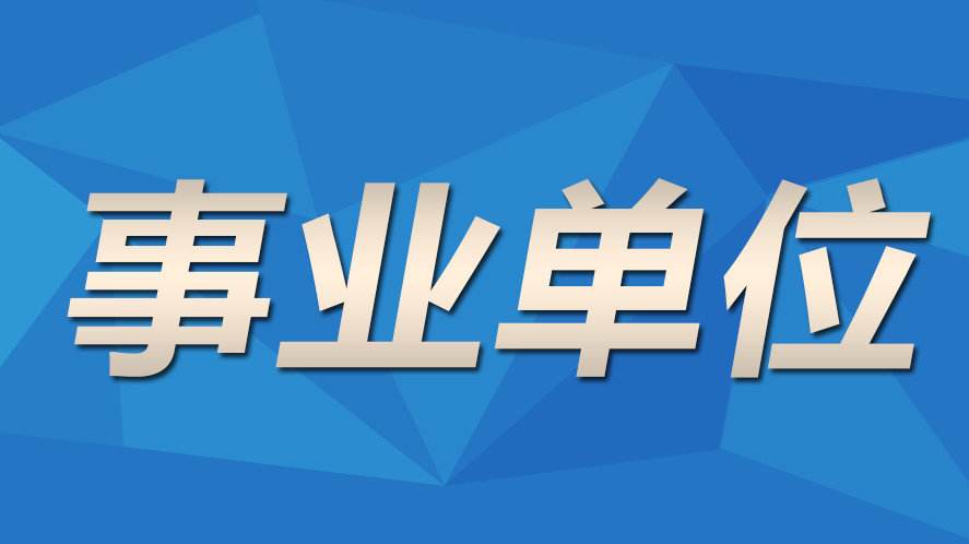 浙江财富新航道，把握变革之舟，探索十一月赚钱新模式