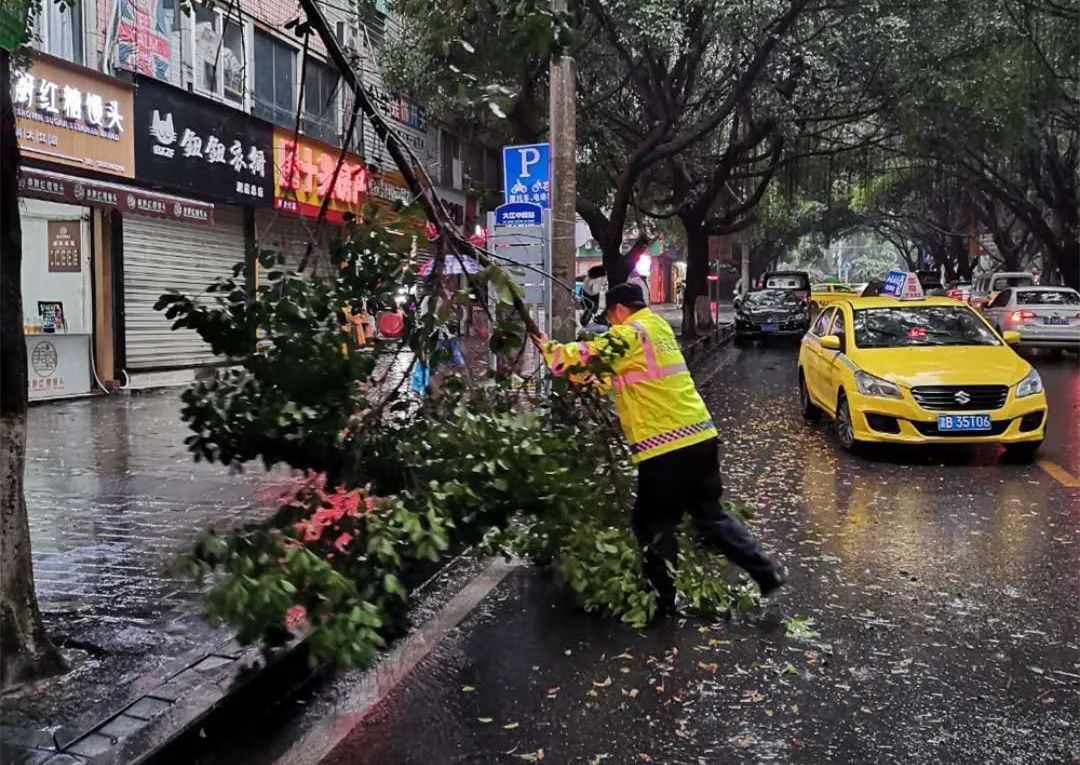 王家坝汛情揭秘，小巷特色小店与最新汛情奇闻