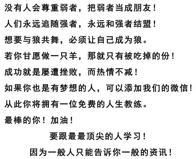 陈老师最新课程产品深度评测报告，特性解析与用户体验探讨