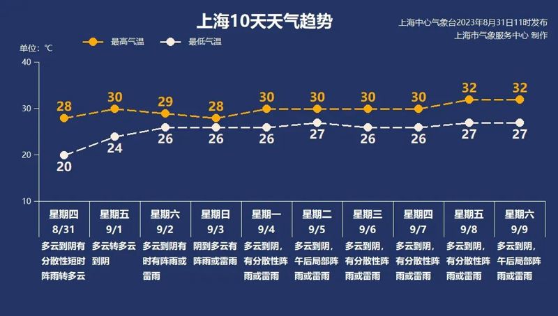 11月五旦最新章节深度探讨，观点与影响分析