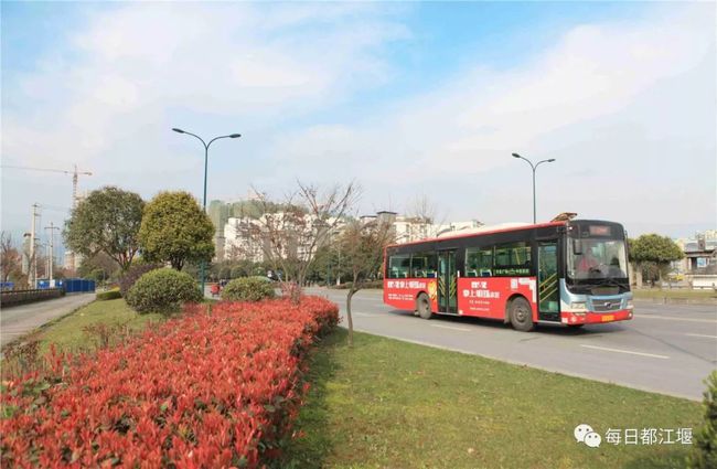 天津武清车祸阴霾后的阳光之旅，自然美景的心灵之旅最新消息（11月16日）