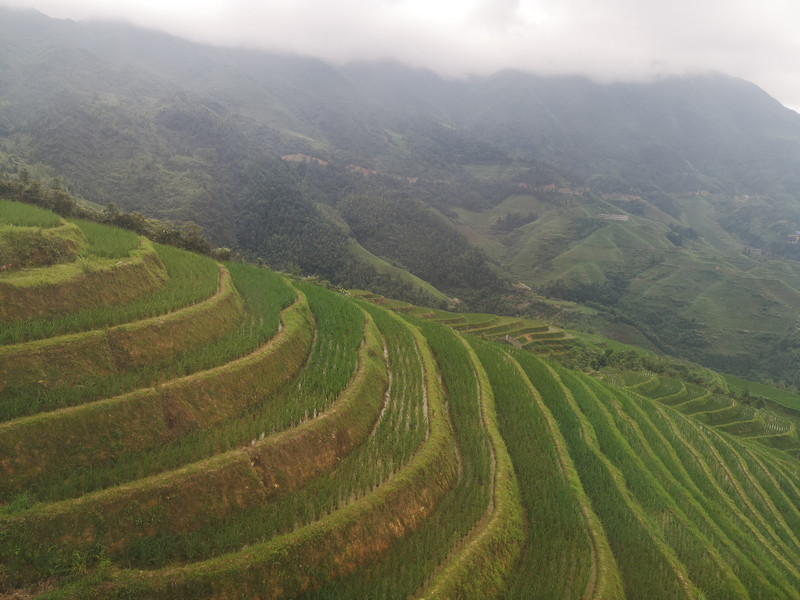 富士康最新动态下的心灵之旅，与自然美景的紧密连结