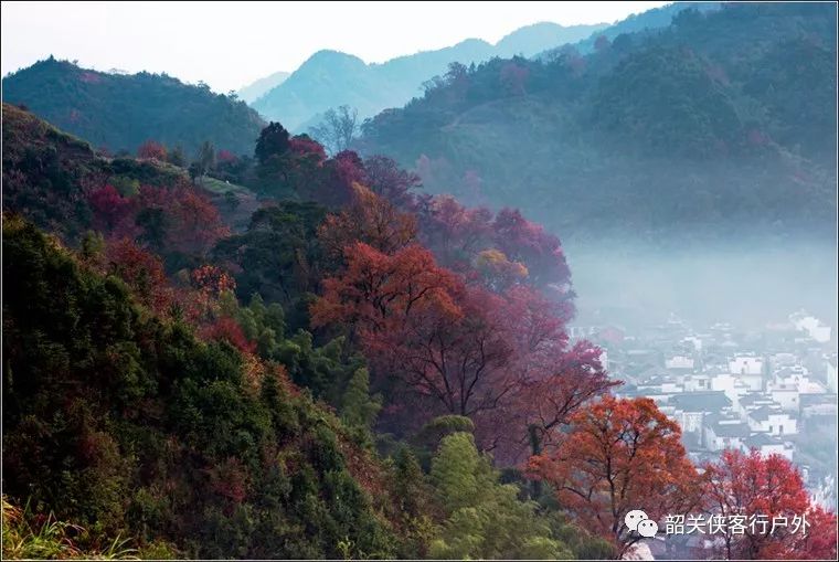 泰安秋日暖阳下的奇迹，确诊病例最新与心灵之旅的宁静美景