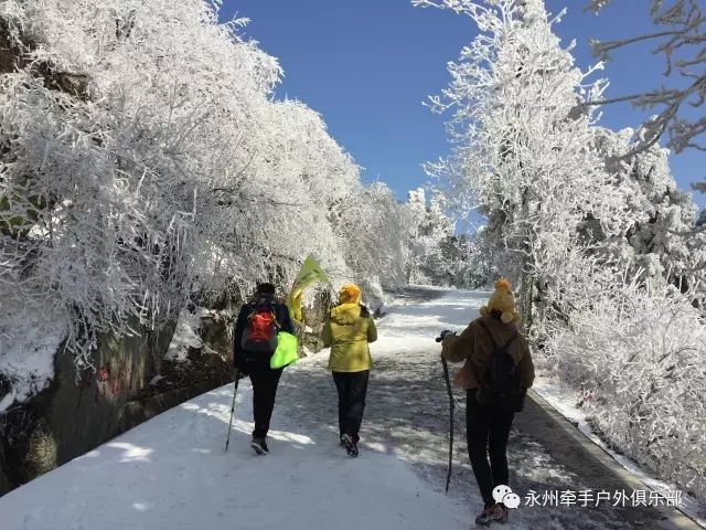 南岳衡山雾凇直播，自然奇观与文化传播的一瞥（最新更新）