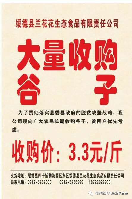 11月襄阳追日电器最新招聘启事，职业发展的理想选择