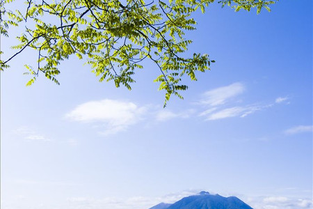 夏日时光回溯，全能学生的自然美景探险奇妙旅程