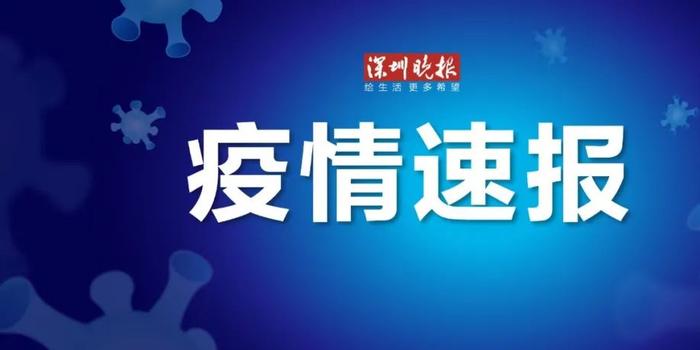 郑州司机招聘日，最新招聘信息汇聚，友情与路上的温暖启程时刻